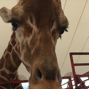 Meet your Posher, Brian